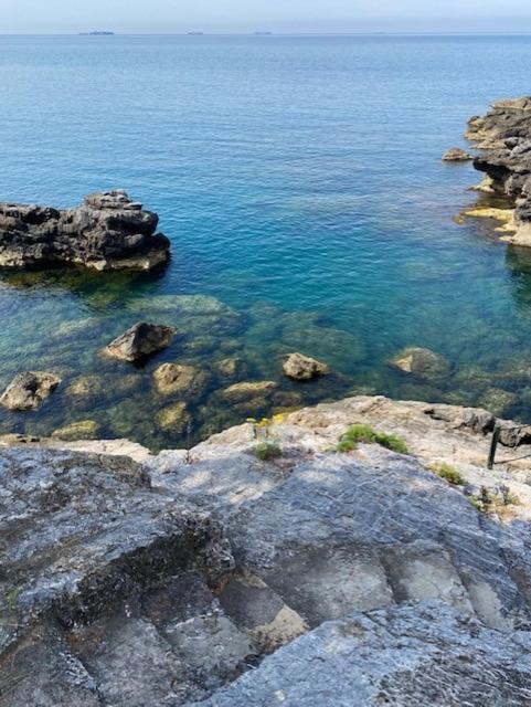 Villa Percy Lubbock La Spezia Bagian luar foto
